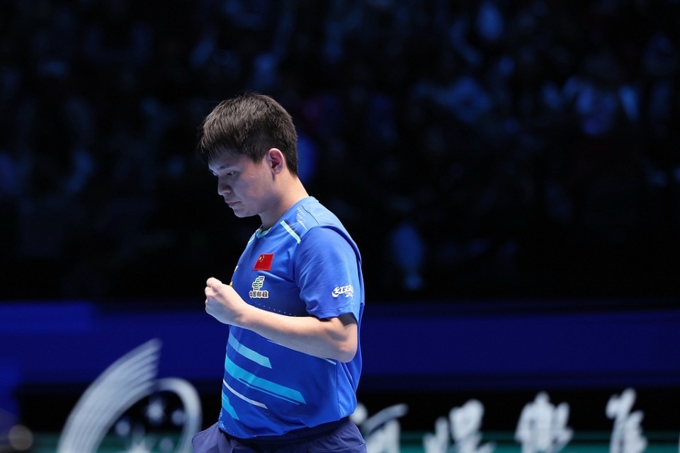 了球迷的好 了球迷的好